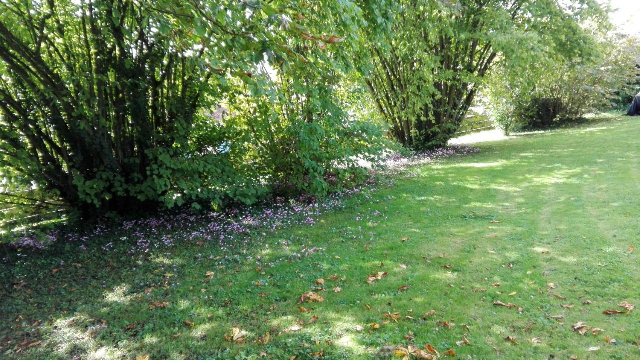 Bed and Breakfast La Fruitiere Beautheil-Saints Zimmer foto